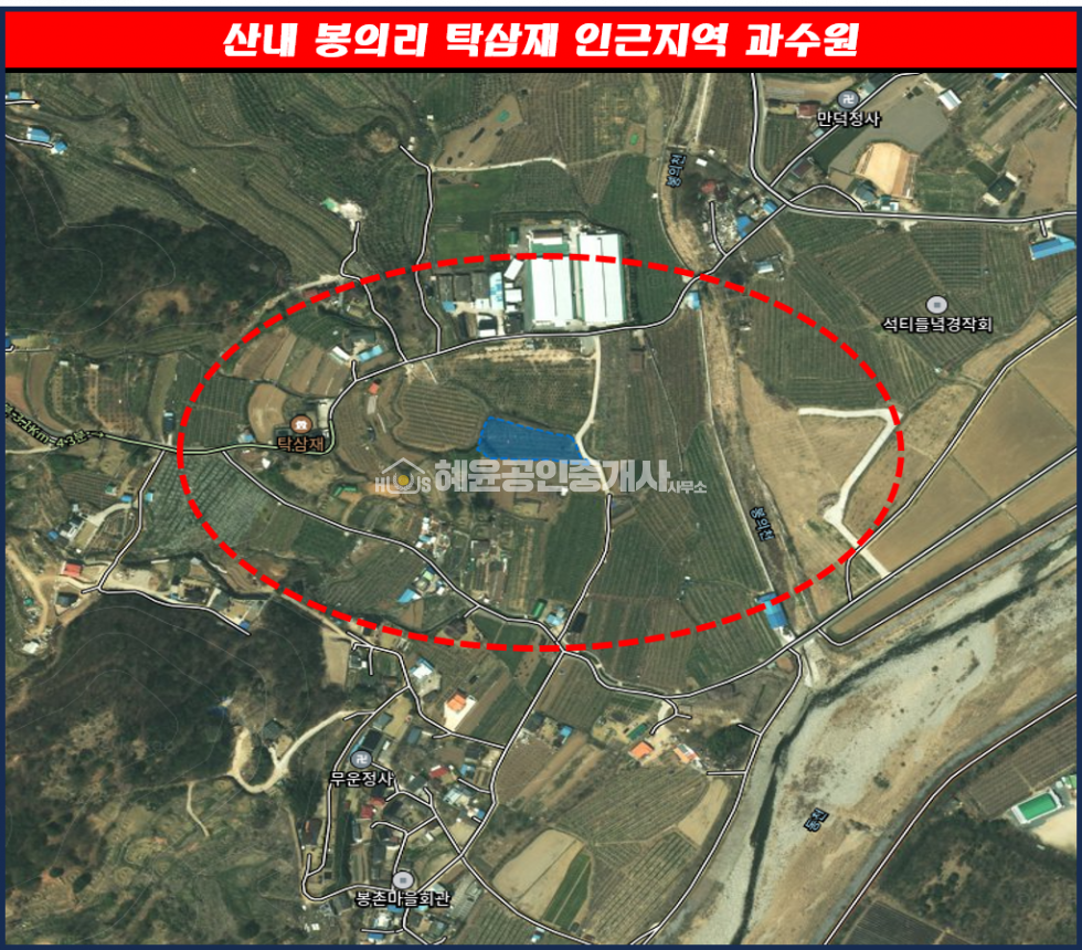 경남 밀양시 산내면 봉의리 537평.답. 시세보다 저렴한 토지 매매 매물번호 10101 사진 1